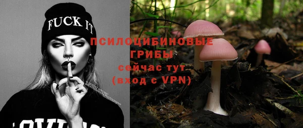 прущие крисы Алексеевка