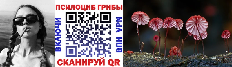 Галлюциногенные грибы GOLDEN TEACHER  Балашов 